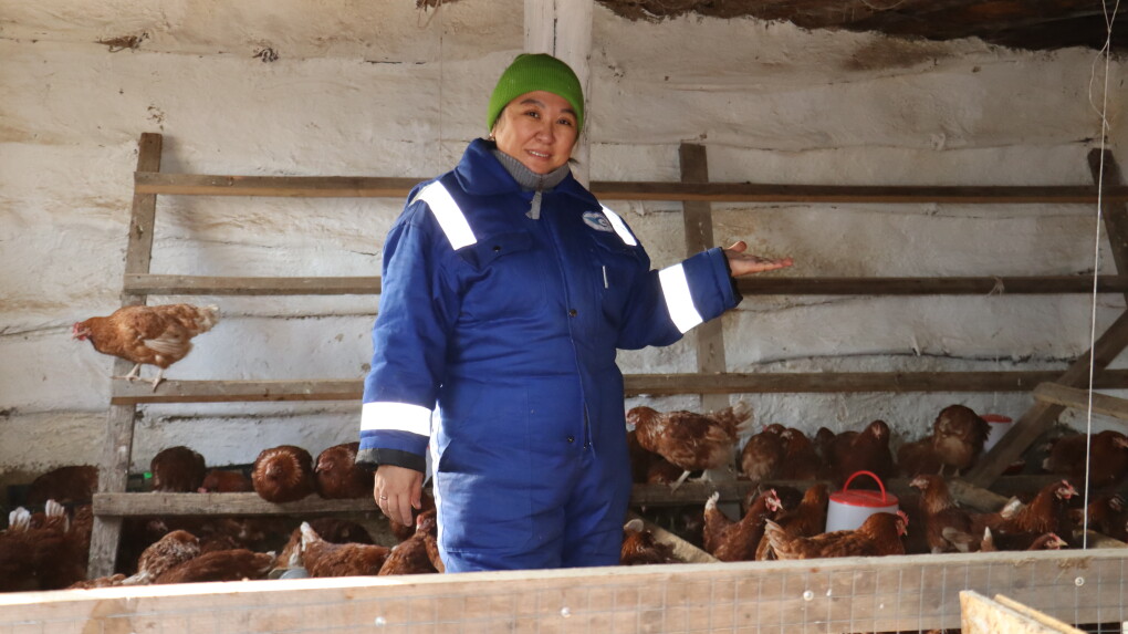 image-14-11-25-04-12-3