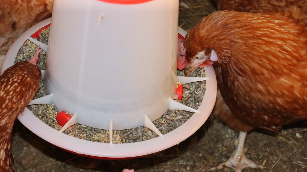 image-14-11-25-04-12-4