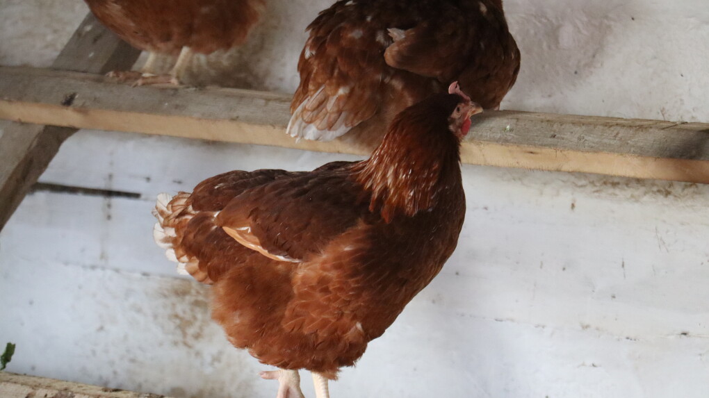 image-14-11-25-04-12