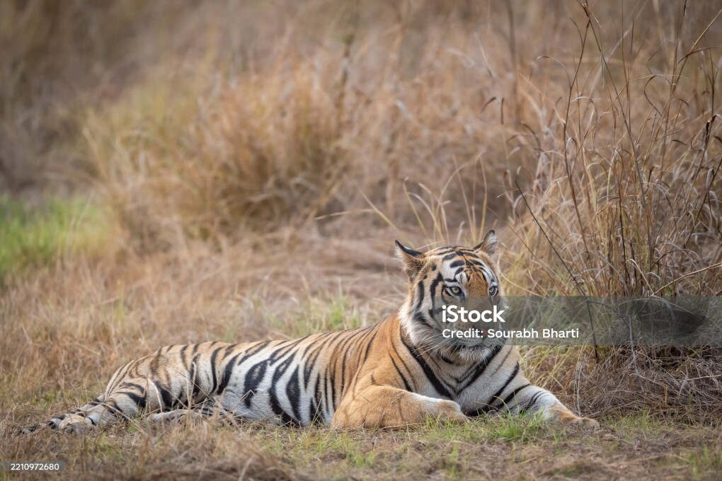 istockphoto-2210972680-2048x2048