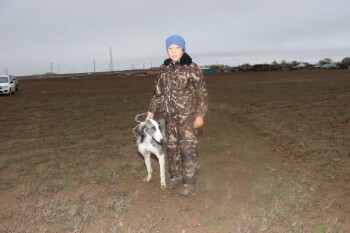 tazy-sajysy-3-1-e1763009129824