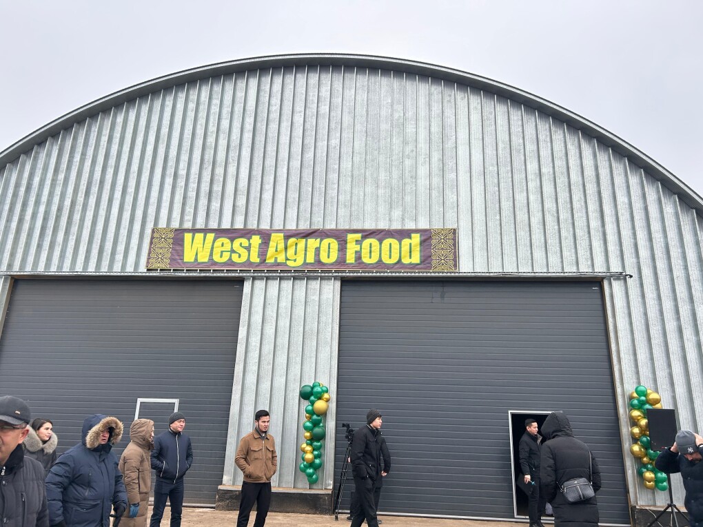 98ca4396-14b7-46be-9d12-8ece9bf536db