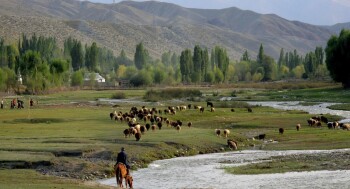 Bringing_the_sheep_home,_on_the_southern_shore_of_Issyk-Kul_(3968109583)