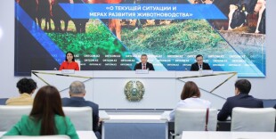 Казахстан нарастил объем валовой продукции животноводства до 3 трлн тенге