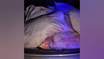 InShot_20251211_112412285