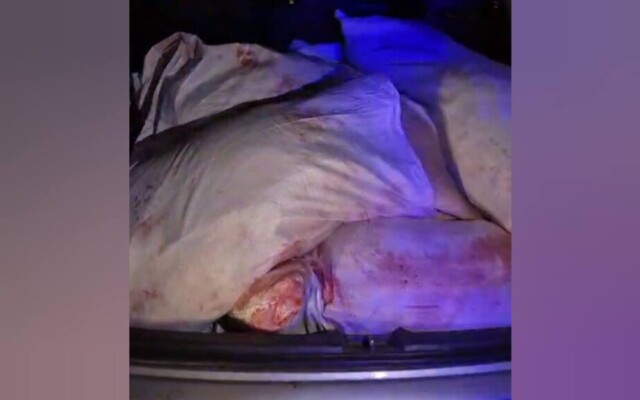 Батыс Қазақстан облысында браконьерлер ұсталды