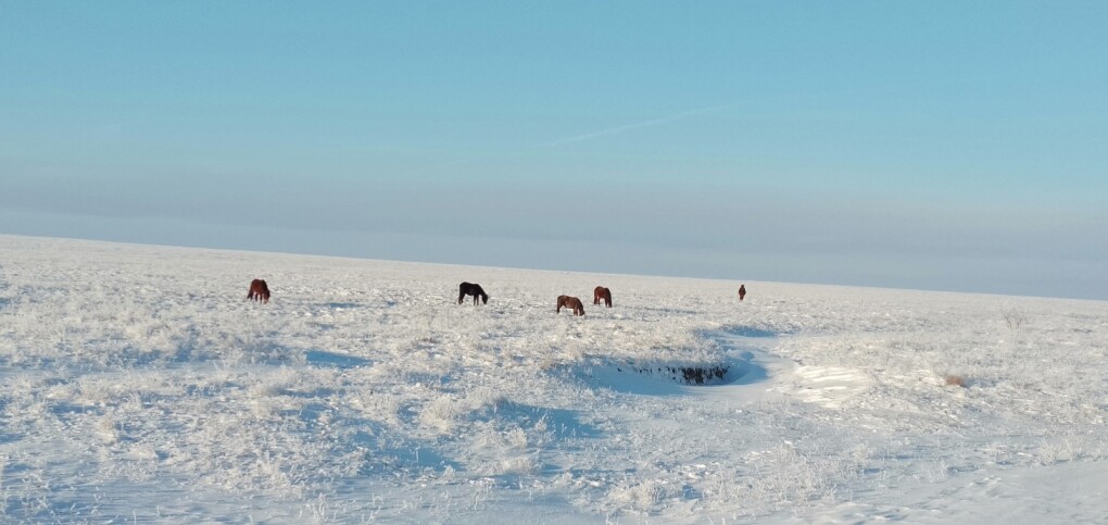 ЖП қыс Кама апаның фотолары