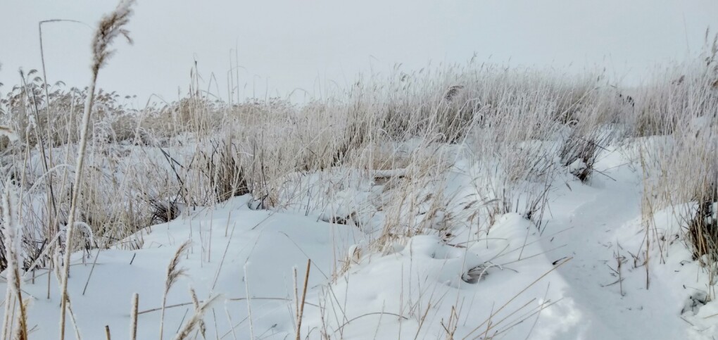 ЖП қыс Кама апаның фотолары