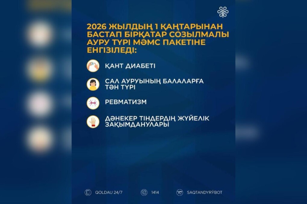 WhatsApp Image 2025-12-29 at 13.59.05