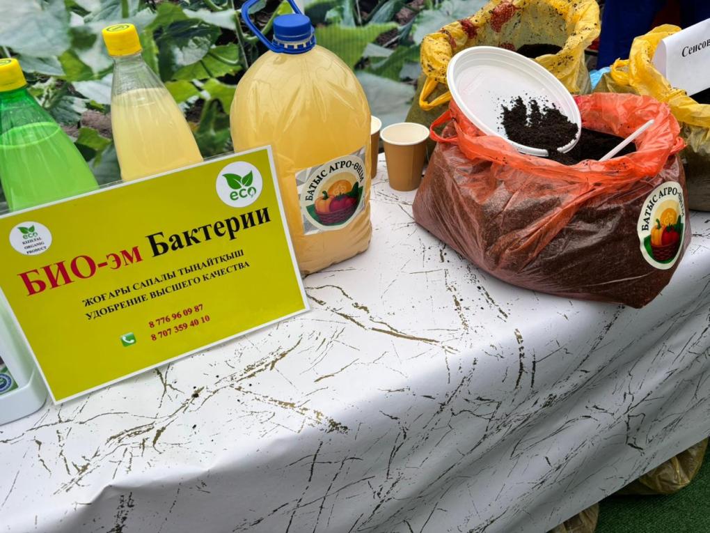 агробизнес центр (2)