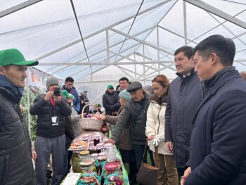 агробизнес центр (4)