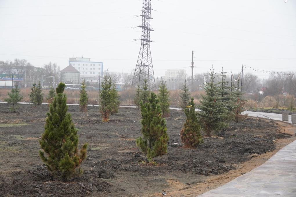 ботанткалық бақ (12)