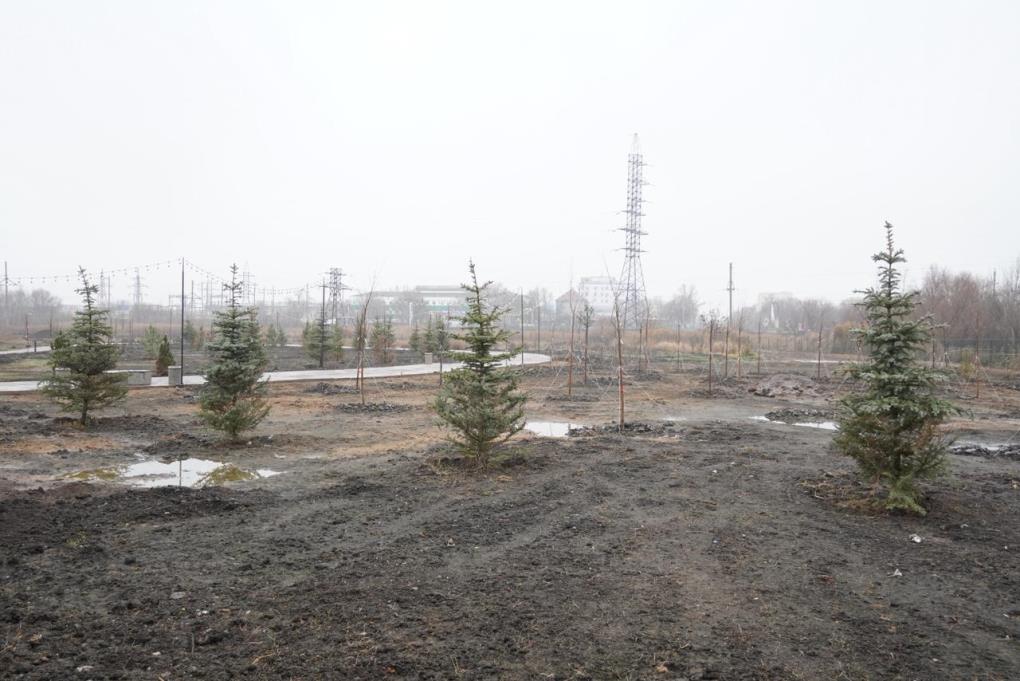 ботанткалық бақ (7)