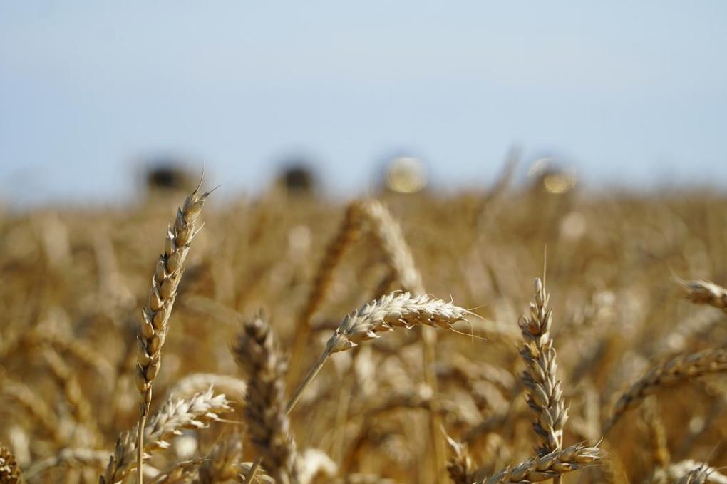 _gluster_2025_12_1_ebbf5817250f56215729dc172c74fe19_1280x720