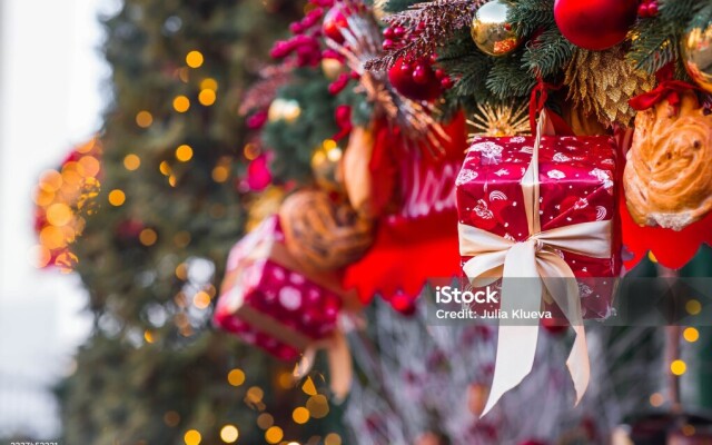 Полиция предупреждает о мошенничестве в период новогодних праздников