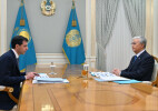 Глава государства принял председателя совета директоров Qarmet Андрея Лаврентьева
