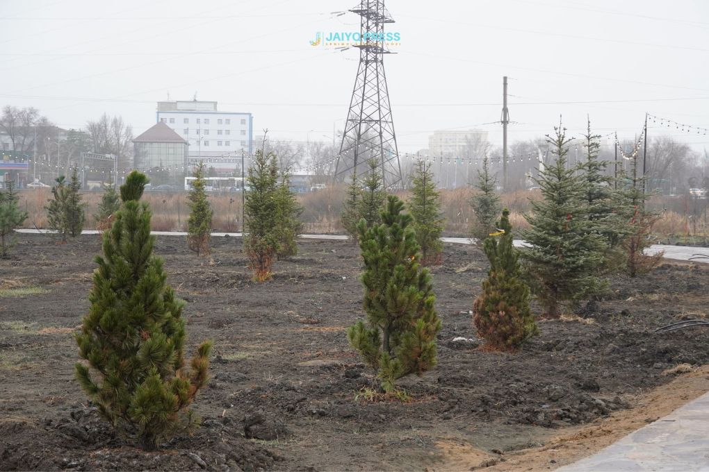 жп ботанический сад 202501