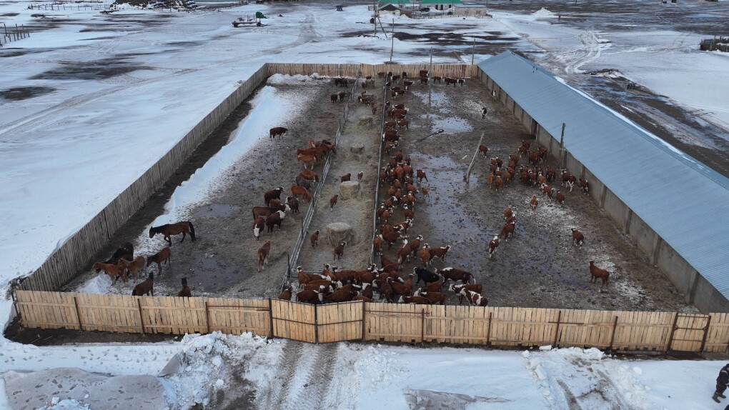 608942265_3011788165689550_2791270876144750569_n