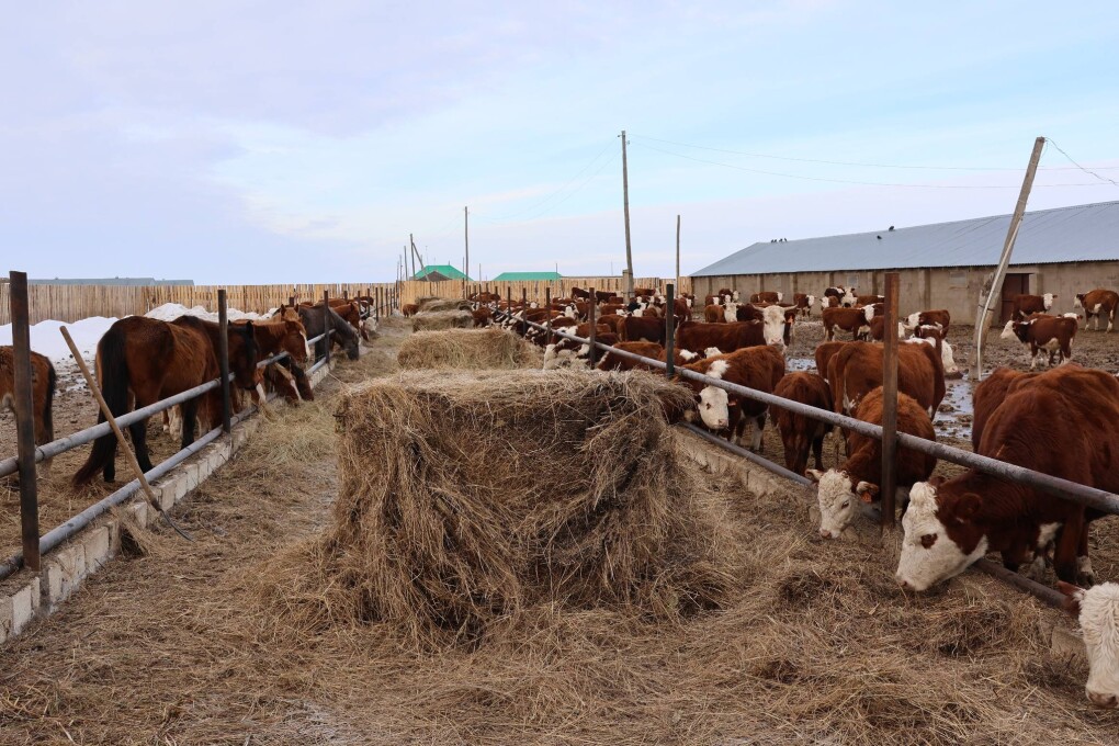 610892053_3011788092356224_8628677493920496088_n