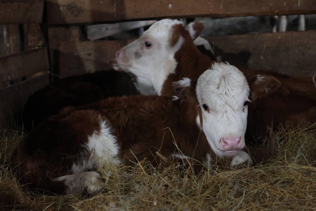 611176778_3011788725689494_8562047108313380799_n