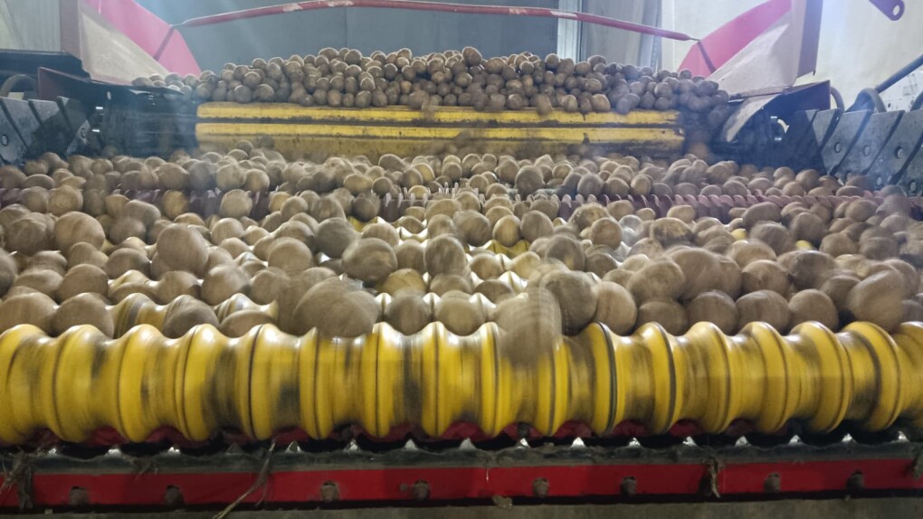 611857328_3170553193126553_2116847369278143012_n (1)