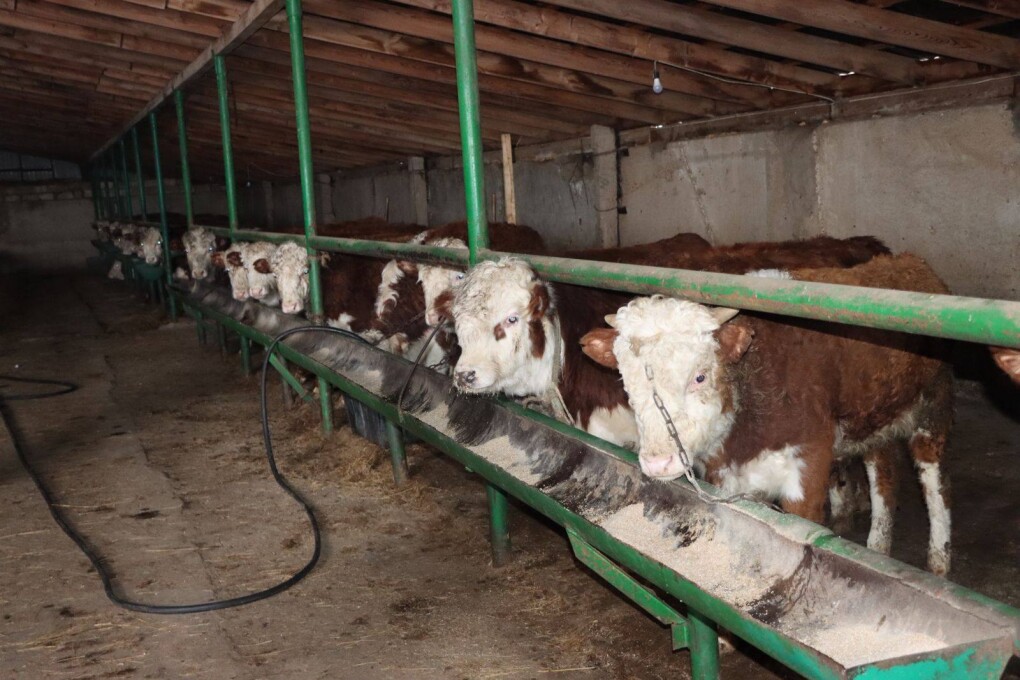 615672868_870676822261624_3283563160919516571_n