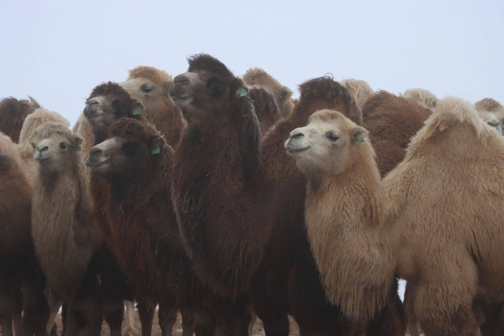 615736006_870676735594966_590024045650891795_n