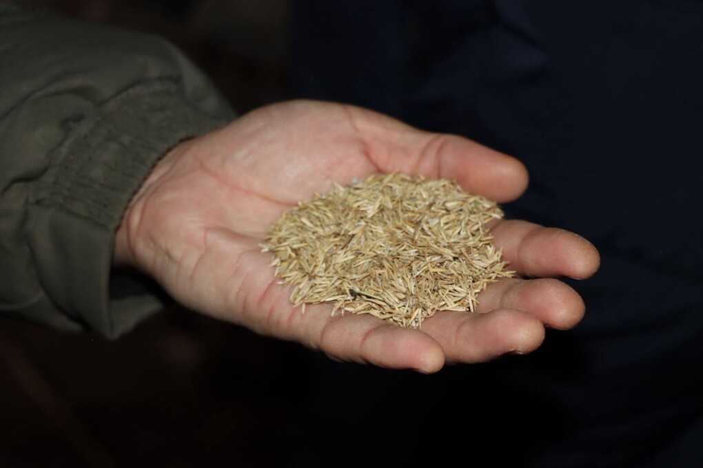 615777049_870676495594990_4937514016549813510_n