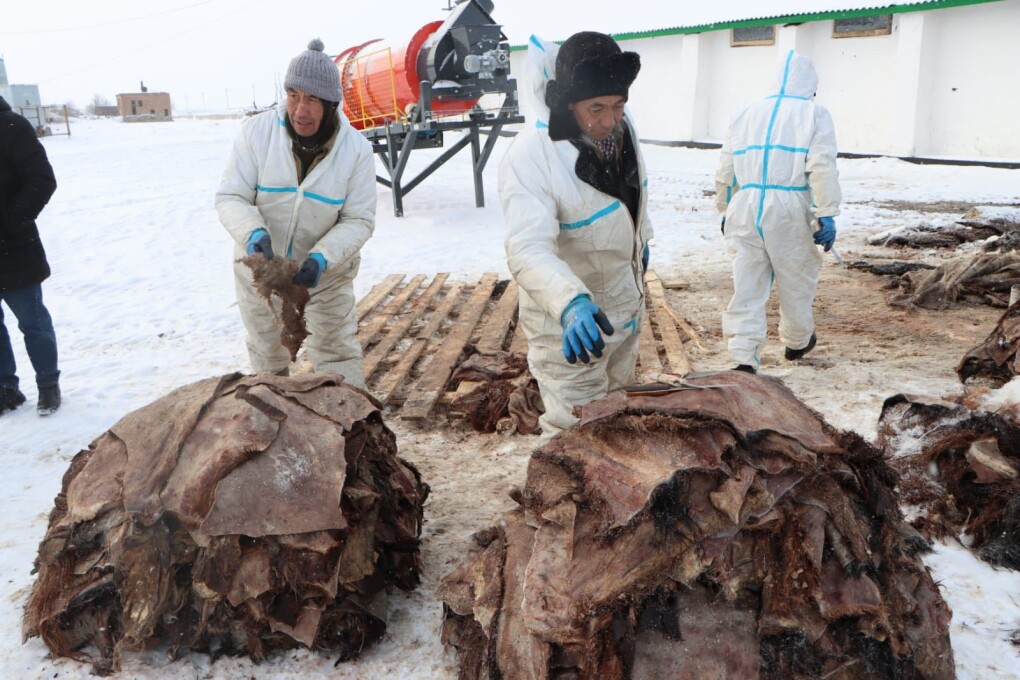 617466870_1525401496256186_4158847151613824605_n