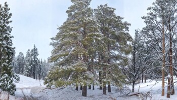 991b90b3-bd4a-41cf-847c-f5d107645402