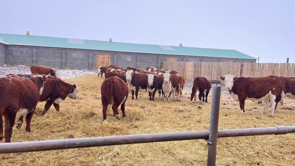 PHOTO-2026-01-21-12-34-09