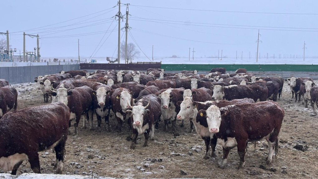 PHOTO-2026-01-21-12-35-06