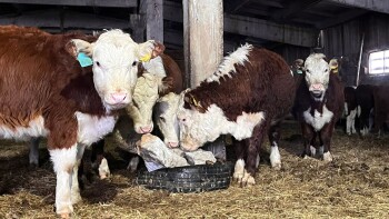 PHOTO-2026-01-21-12-36-49 (1)