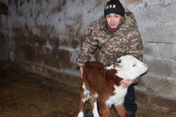 Тимур Дүйсенов (1)