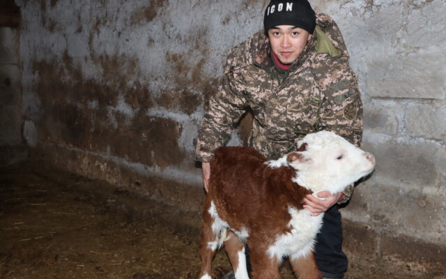 В Казталовском районе крестьянское хозяйство 