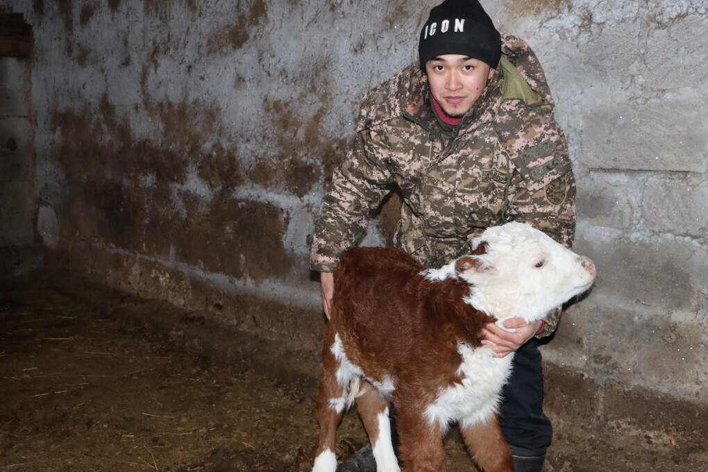 Тимур Дүйсенов (1)