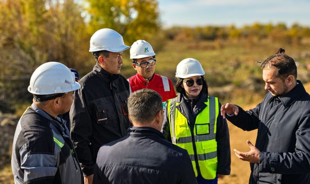 WhatsApp Image 2025-12-24 at 10.54.11