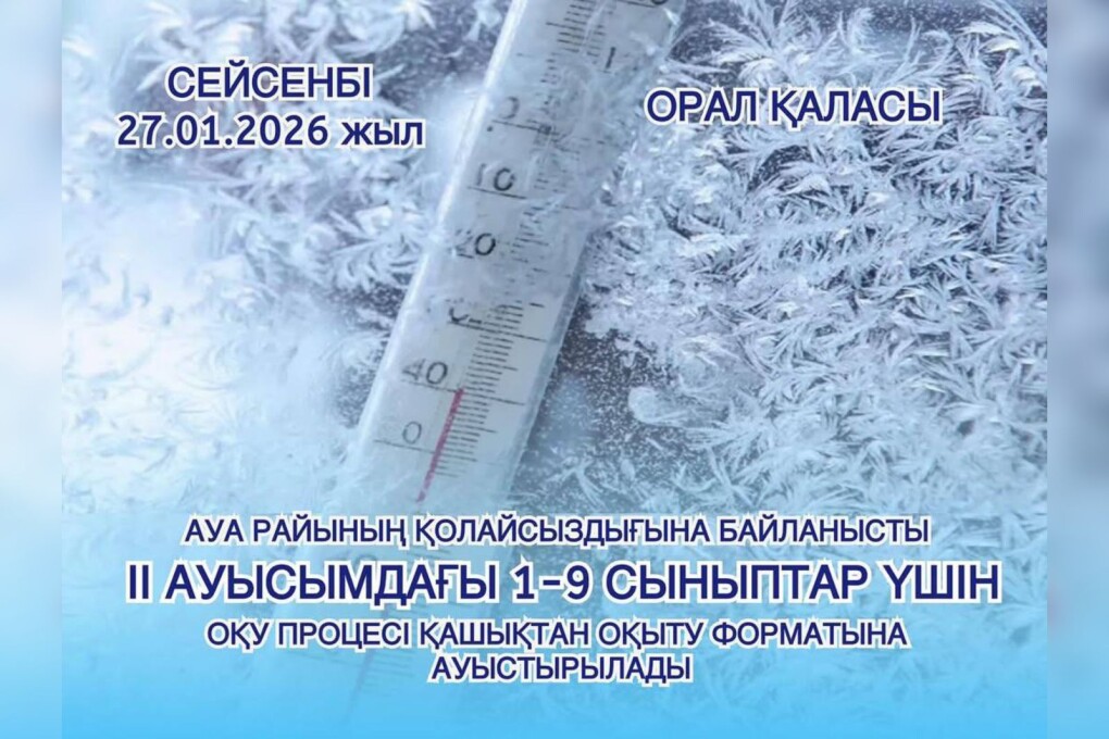 WhatsApp Image 2026-01-27 at 11.27.35 (1)