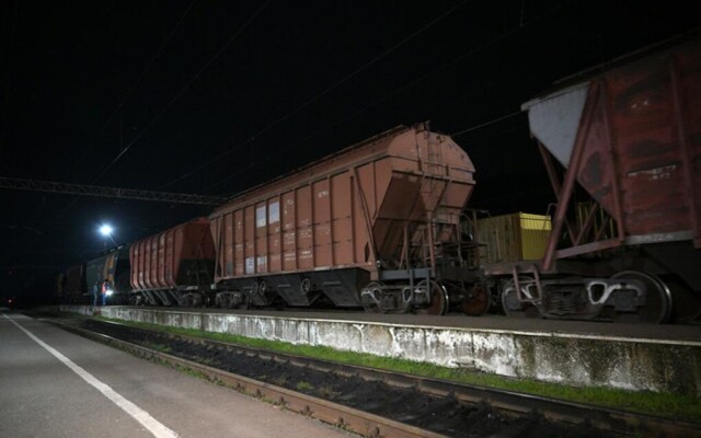 Экспортировано 5,1 млн тонн зерна нового урожая