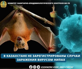 _gluster_2026_1_26_2112b9ffea1c75271b55330e5bed0f87_1280x720