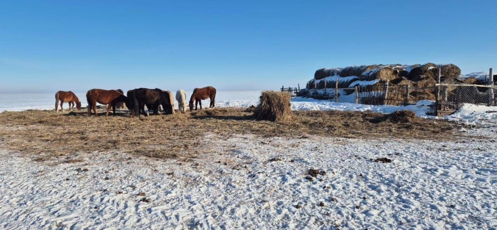 image-29-01-26-11-35-1