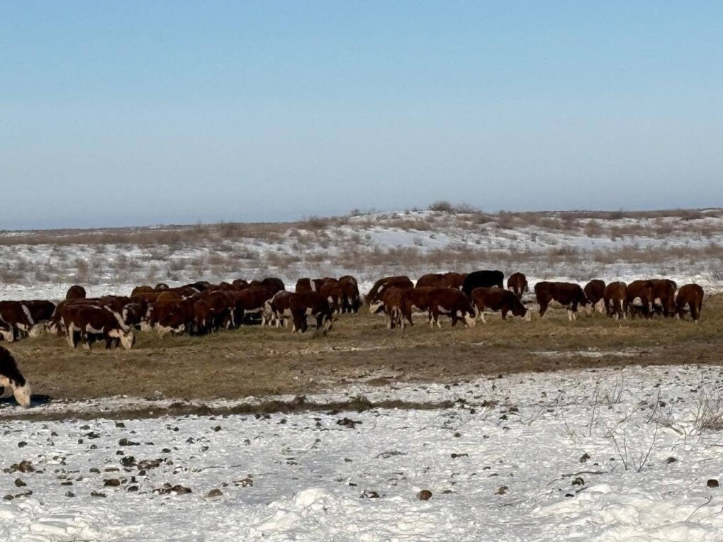 image-29-01-26-11-35