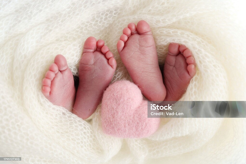 Feet of newborn twins. Two pairs of baby feet in a white knitted blanket. Pink knitted heart. Close up - toes, heels and feet of a newborn. Newborn brothers, sisters. Studio macro photography.