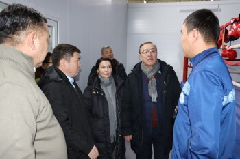 сенаторы - орда (2)