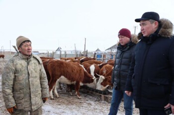 жанибек зимовка_n