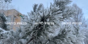 Сильный мороз обрушится на РК: в Астане, Алматы и 16 областях объявили штормовое предупреждение