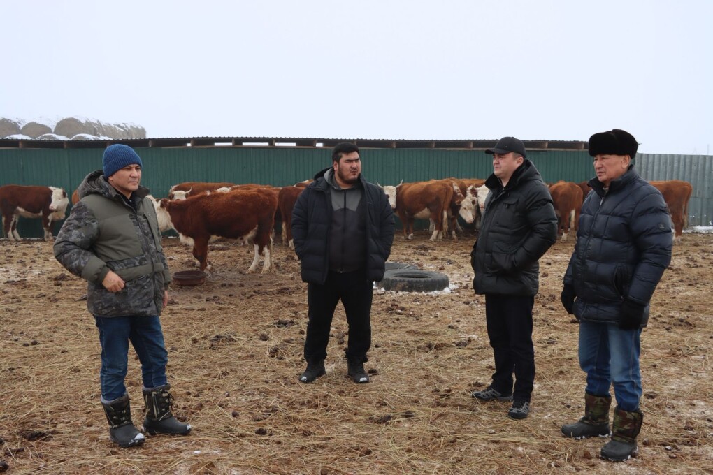 зимовка - орда (1)