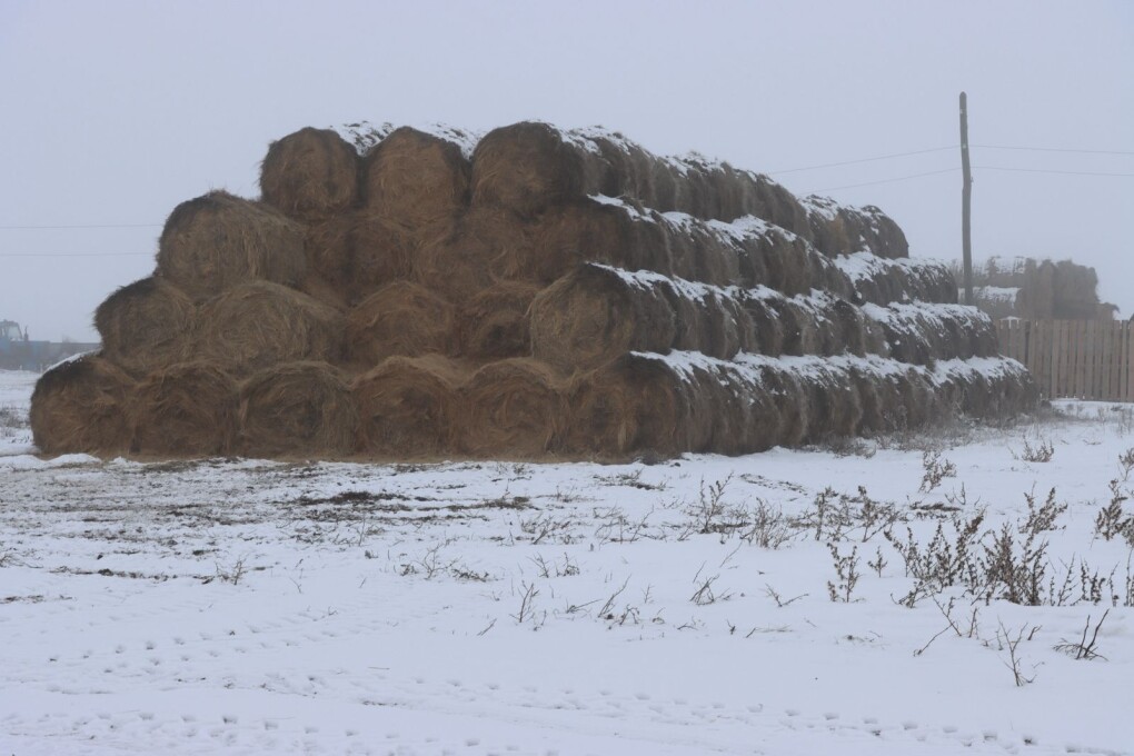 зимовка - орда (6)