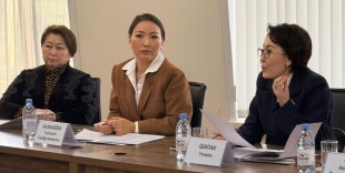 Эксперты института Парламентаризма выразили поддержку проекту н Новой Конституции