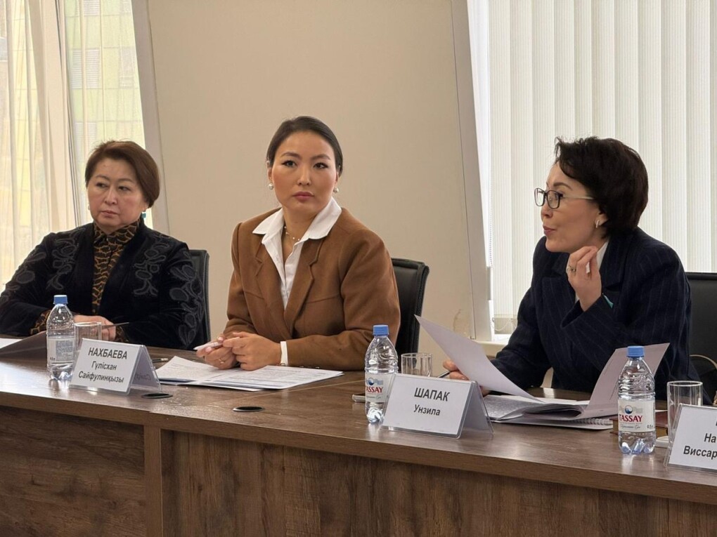 Эксперты института Парламентаризма выразили поддержку проекту н Новой Конституции